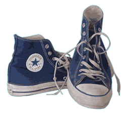 looks like my navy low cut converse shoes!